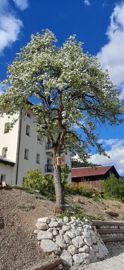 B&B Sognoincadore Domegge di Cadore Exterior photo